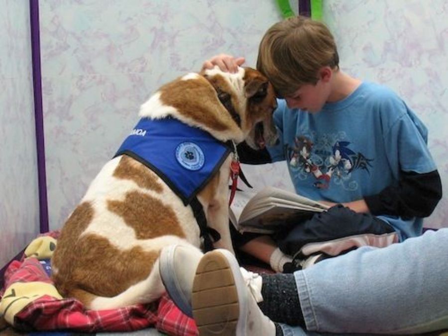 10. Personal Stories How Pets Have Transformed Lives