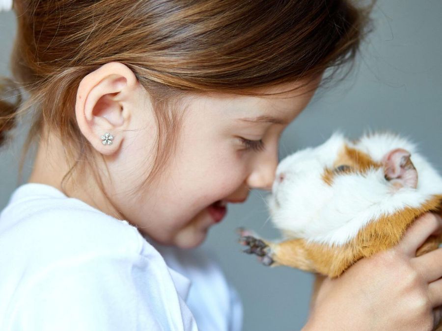 11. Practical Advice for Families Considering Pets