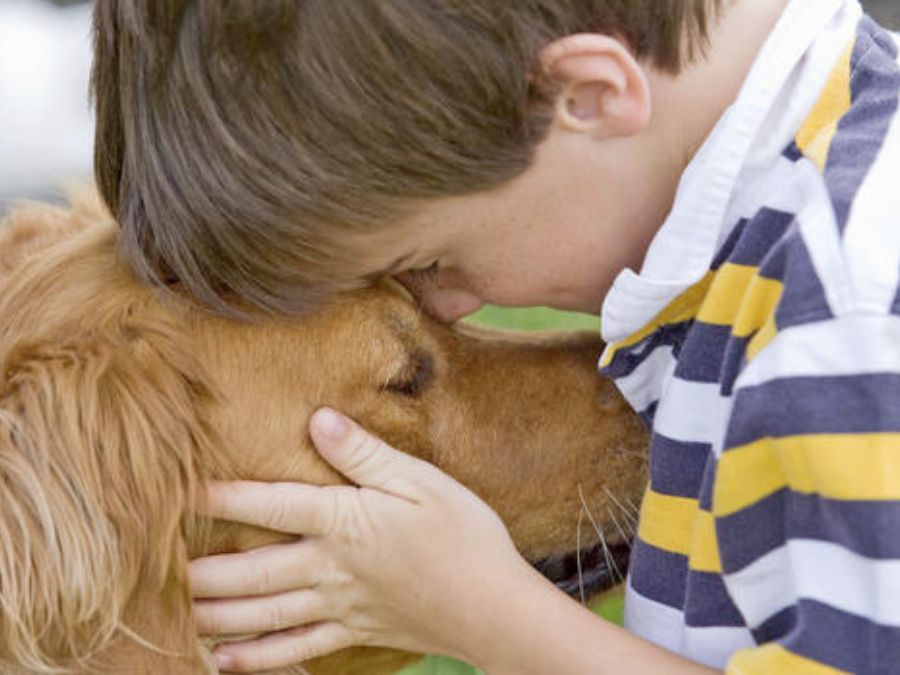 2. How Pets Reduce Anxiety and Improve Mental Health