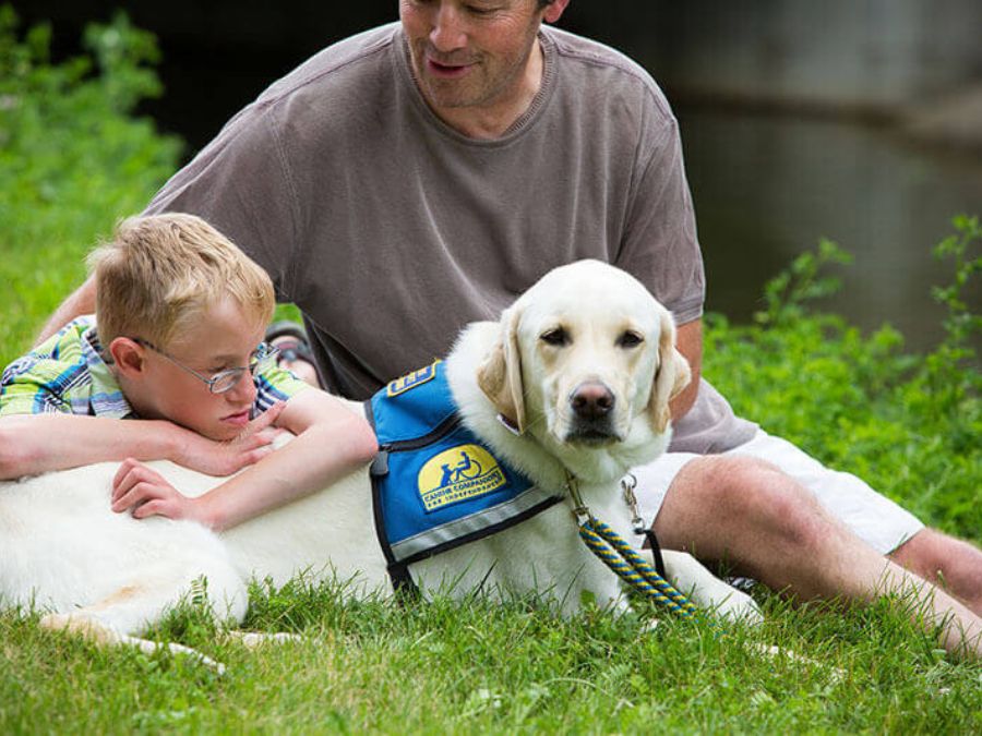 4. Pets as Social Bridges