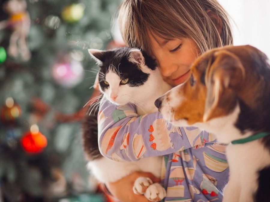 5. Sensory Benefits of Pets for People with Autism