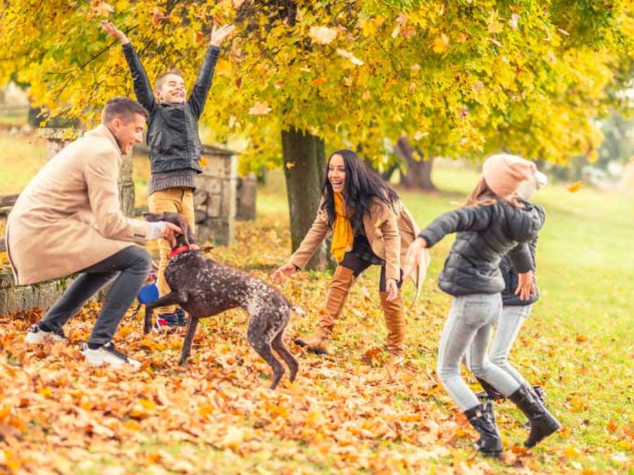 6. Pets Promote Physical Activity and Health