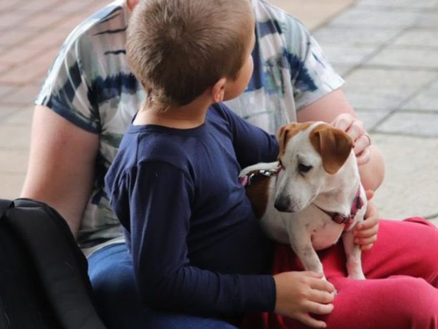 9. Addressing Challenges of Having Pets in Autism Families