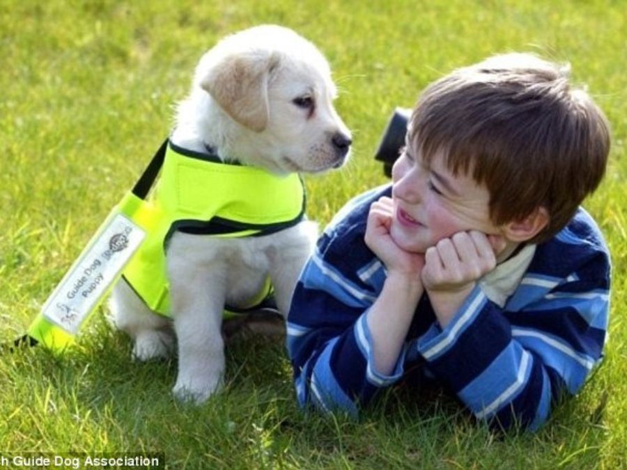 Autism and Pets: How Animals Transform the Lives of People with Autism